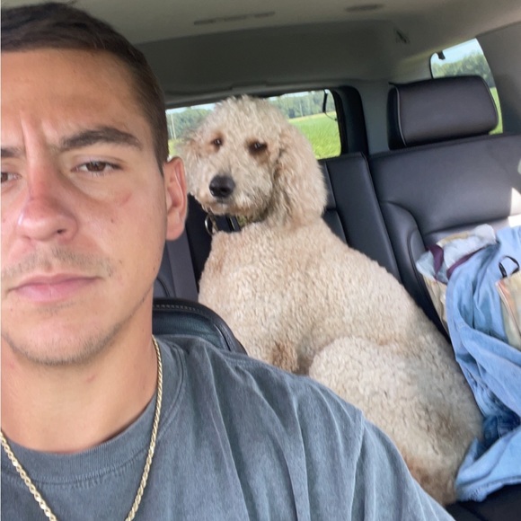 bentleylouis